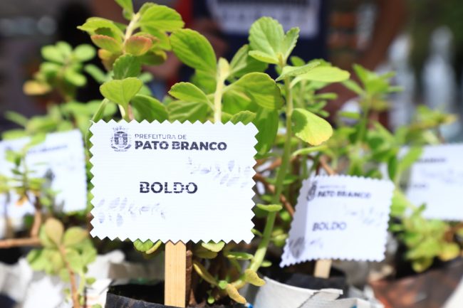 Pato Branco tem agora a Loja do Bem - IRDES