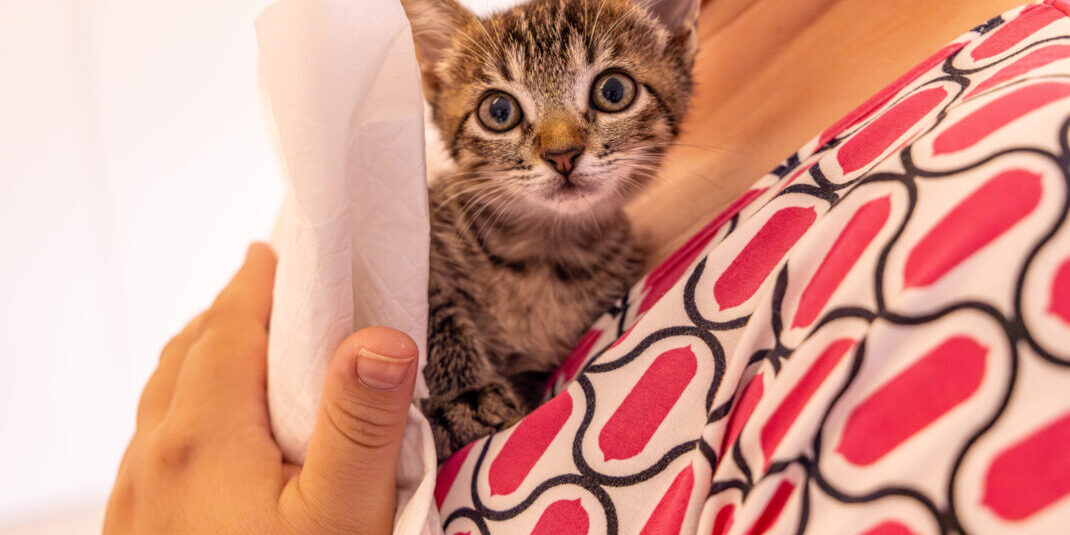 Foto: Helmuth Kühl – Prefeitura Municipal de Pato Branco-PR