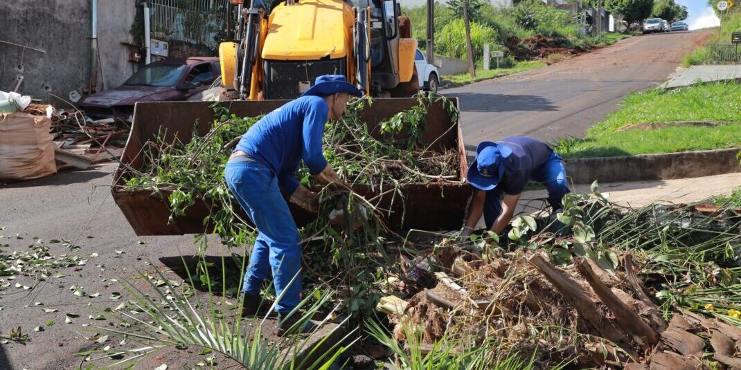 WhatsApp Image 2025-04-10 at 11.49.04