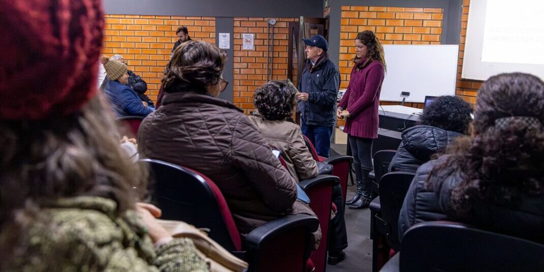 WhatsApp Image 2025-06-30 at 16.07.45