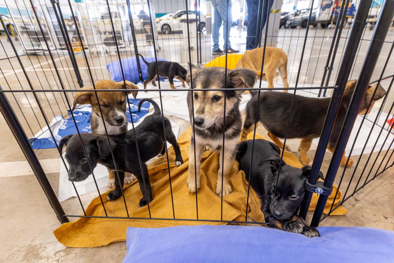 WhatsApp Image 2025-07-28 at 09.10.16