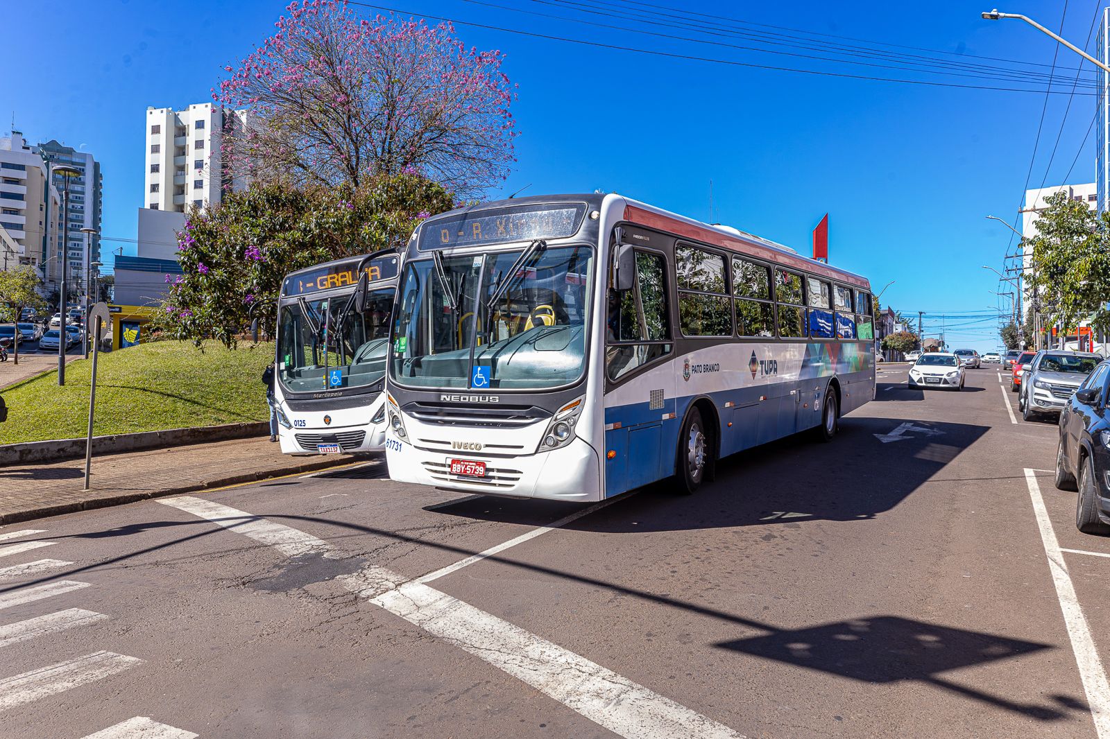 WhatsApp Image 2025-07-30 at 16.13.37.1