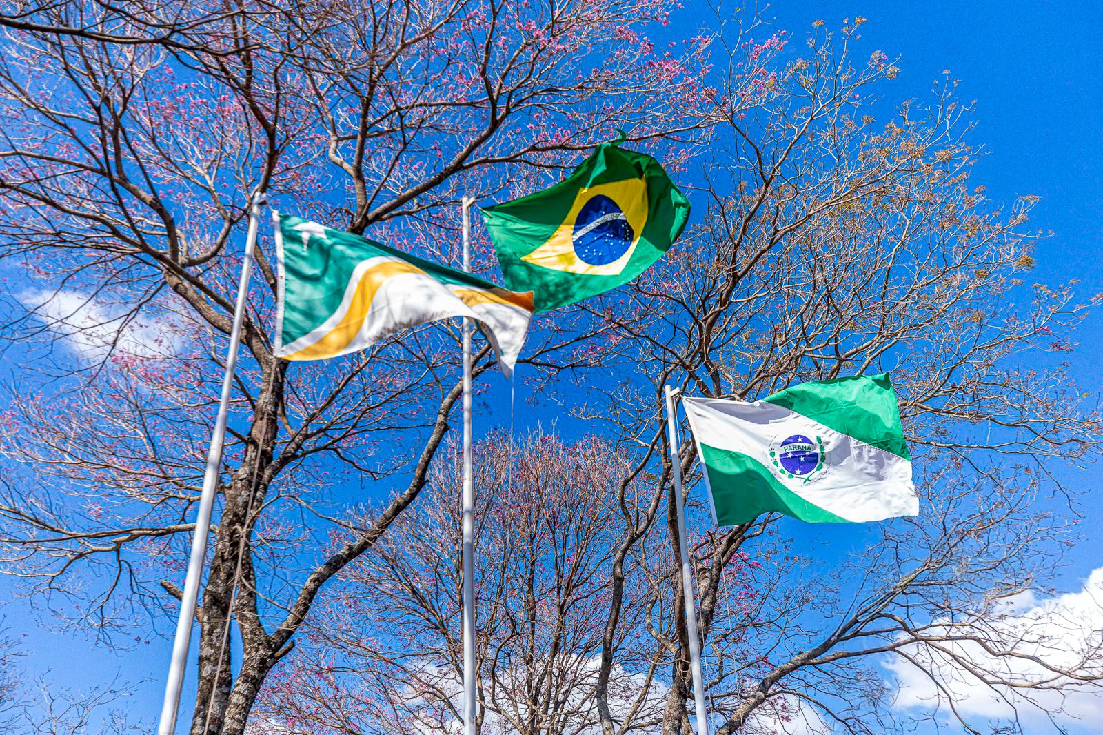 WhatsApp Image 2025-09-05 at 17.05.28