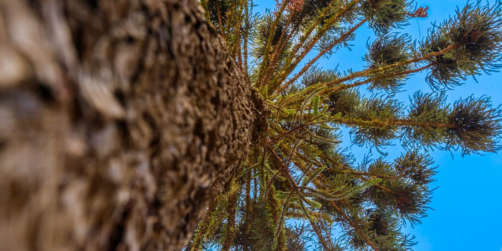 WhatsApp Image 2025-09-12 at 13.45.31 (1)