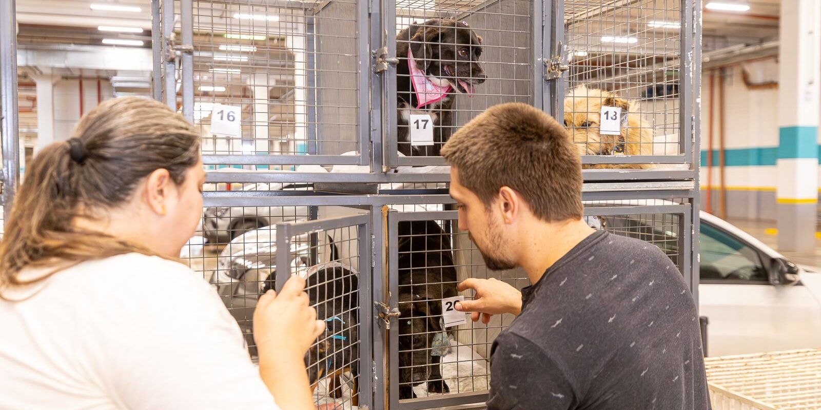 WhatsApp Image 2025-09-22 at 09.53.16