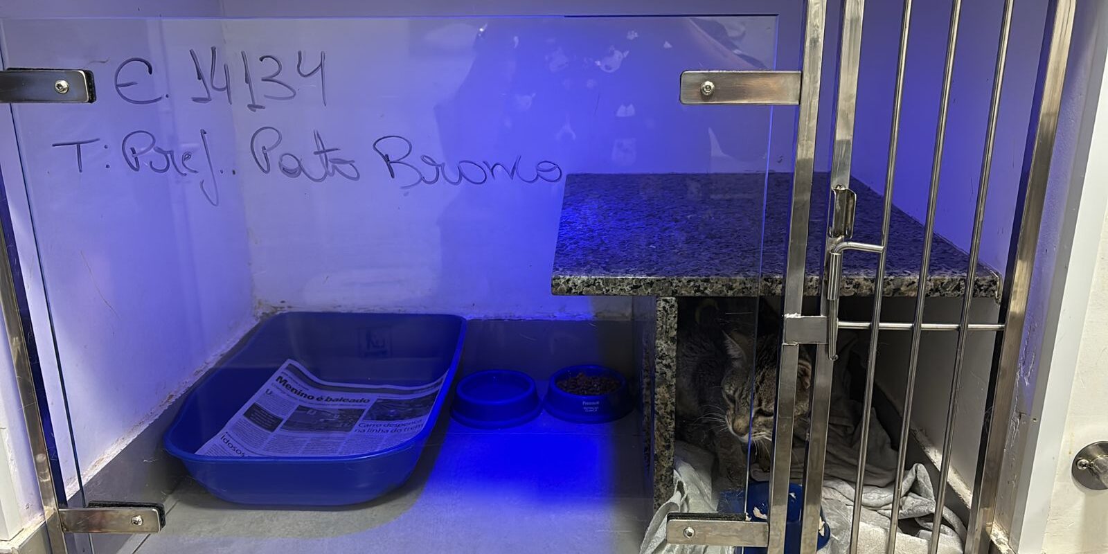 WhatsApp Image 2025-10-16 at 16.11.38