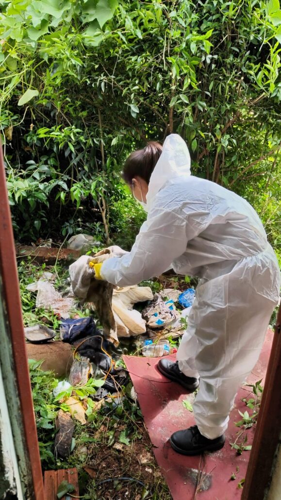 Agentes de endemia retiram lixo acumulado em residência devido à condição insalubre e risco à saúde pública