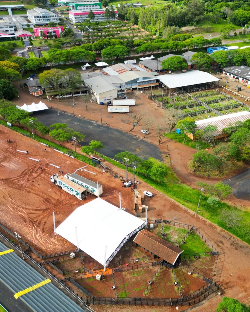 Expopato 2025 inicia neste sábado com expectativa de grandes negócios e ampla programação de atrações