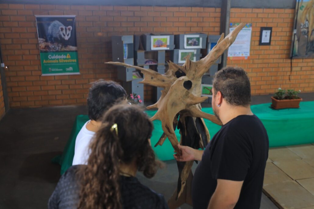 Expopato: artistas locais expõem obras sobre o meio ambiente