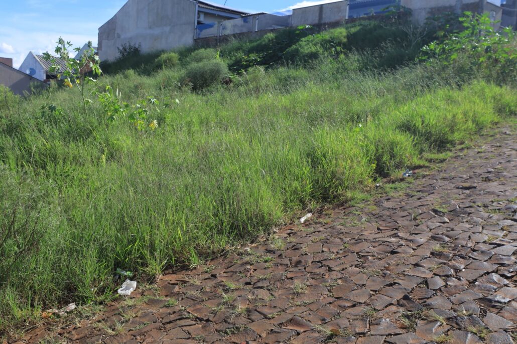 Município vai notificar de forma coletiva os proprietários que não limparem imóveis e terrenos baldios