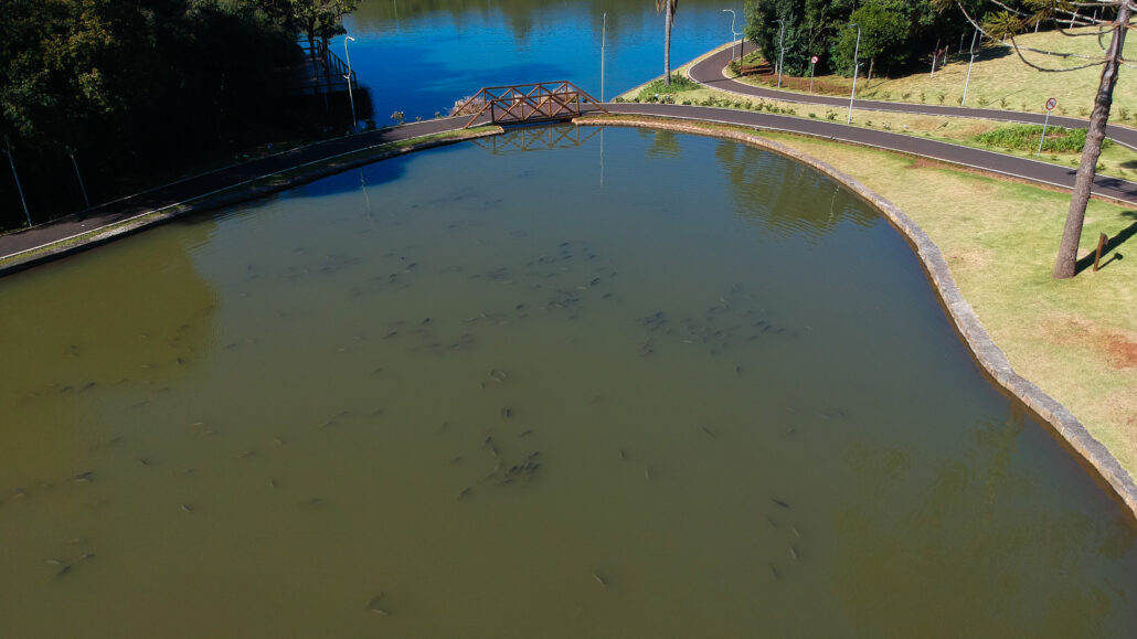 Prefeitura anuncia ação de despesca nos lagos do Parque do Alvorecer
