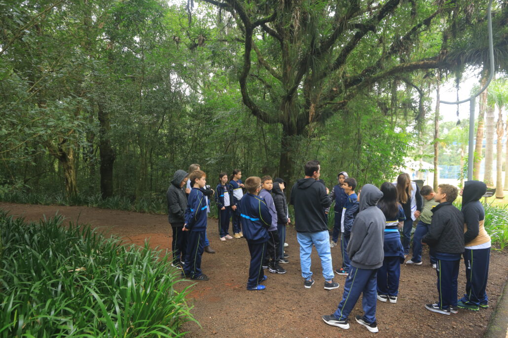 Semana do Meio Ambiente conta com atividades ecológicas e educativas