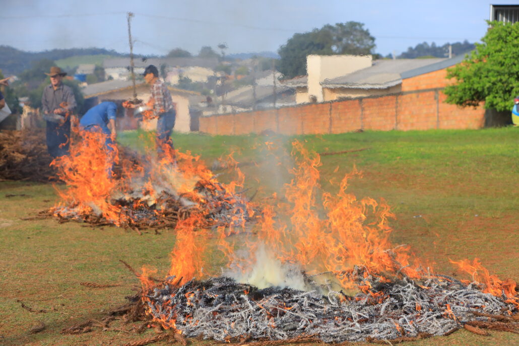 População participa da 11ª Sapecada do Pinhão na Grimpa no CEU das Artes