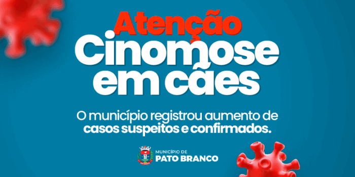 cino capa