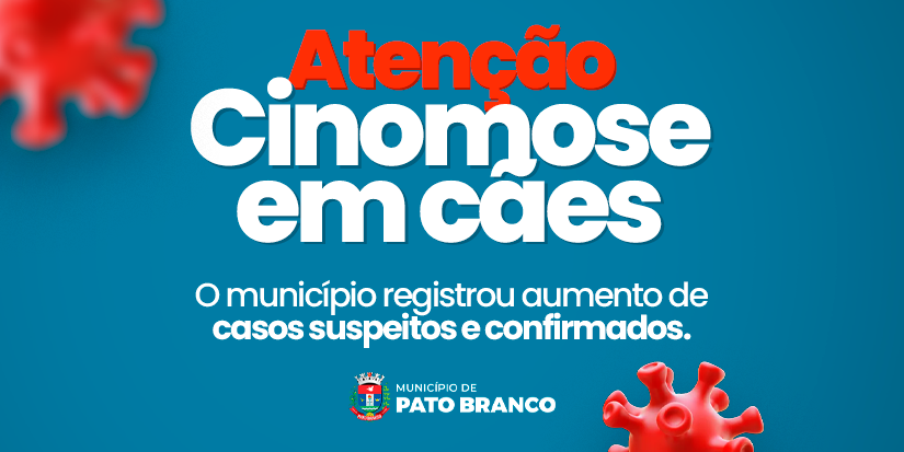 Pato Branco alerta para aumento de casos de cinomose e reforça importância da vacinação